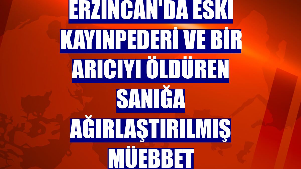 Erzincan'da eski kayınpederi ve bir arıcıyı öldüren sanığa ağırlaştırılmış müebbet
