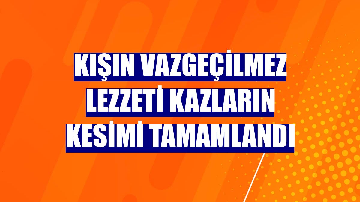 Kışın vazgeçilmez lezzeti kazların kesimi tamamlandı