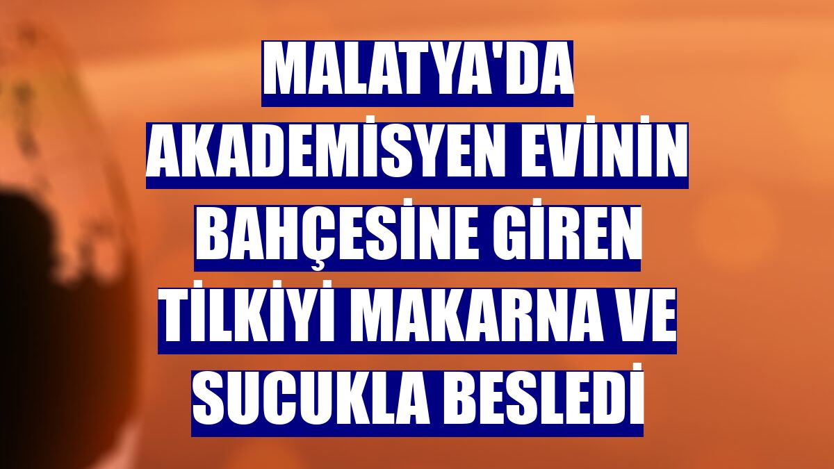 Malatya'da akademisyen evinin bahçesine giren tilkiyi makarna ve sucukla besledi