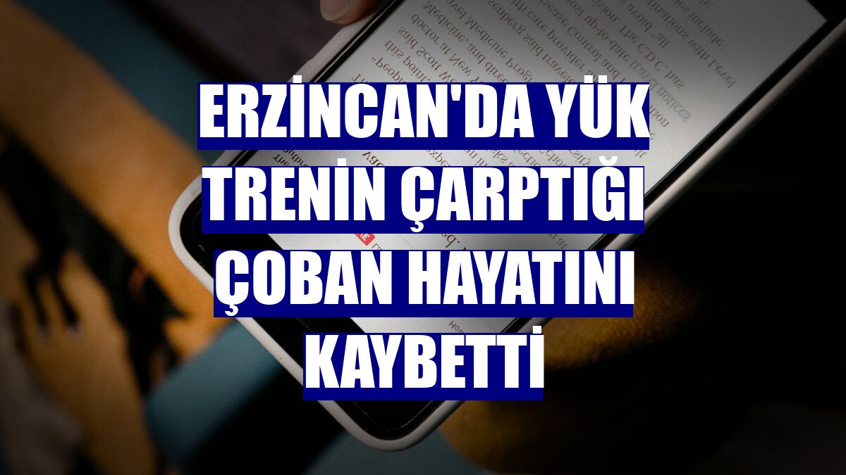 Erzincan'da yük trenin çarptığı çoban hayatını kaybetti