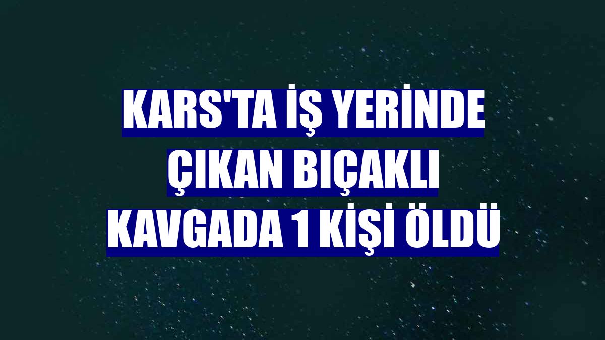 Kars'ta iş yerinde çıkan bıçaklı kavgada 1 kişi öldü