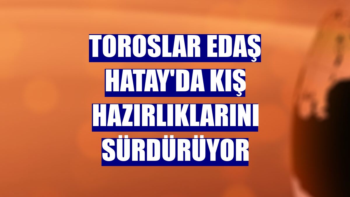 Toroslar EDAŞ Hatay'da kış hazırlıklarını sürdürüyor