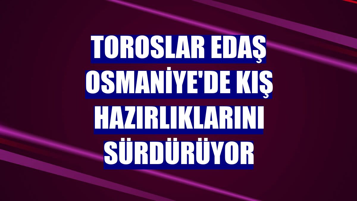 Toroslar EDAŞ Osmaniye'de kış hazırlıklarını sürdürüyor