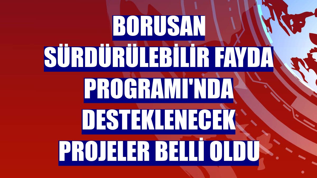 Borusan Sürdürülebilir Fayda Programı'nda desteklenecek projeler belli oldu
