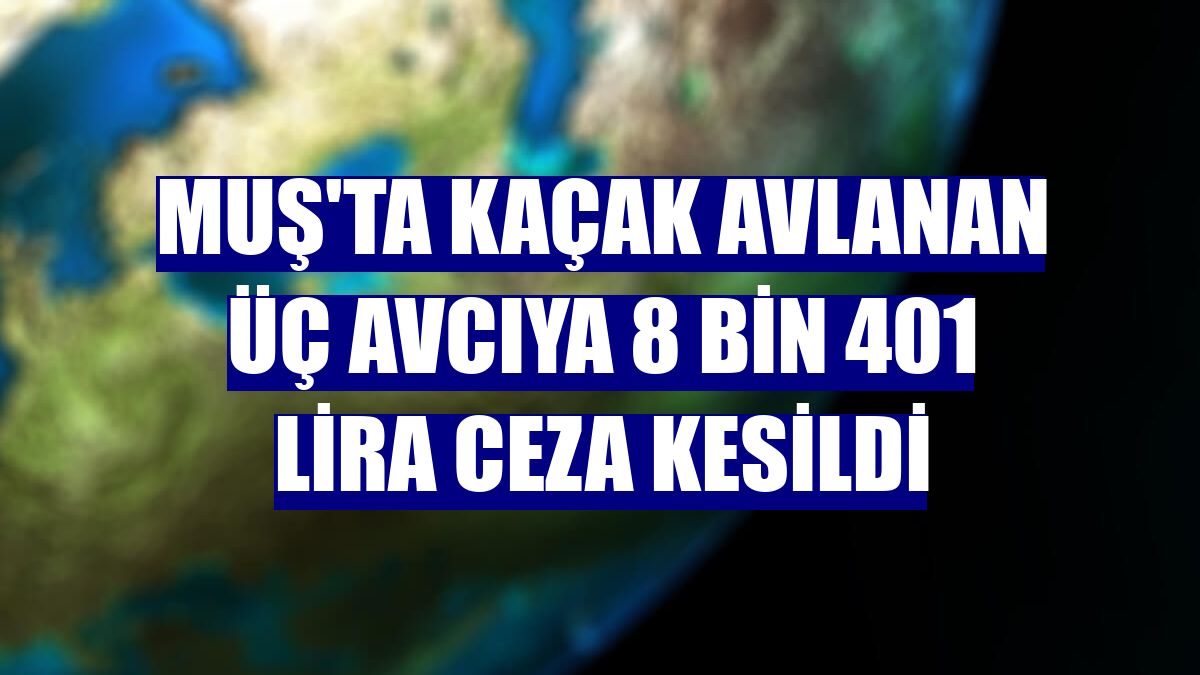 Muş'ta kaçak avlanan üç avcıya 8 bin 401 lira ceza kesildi