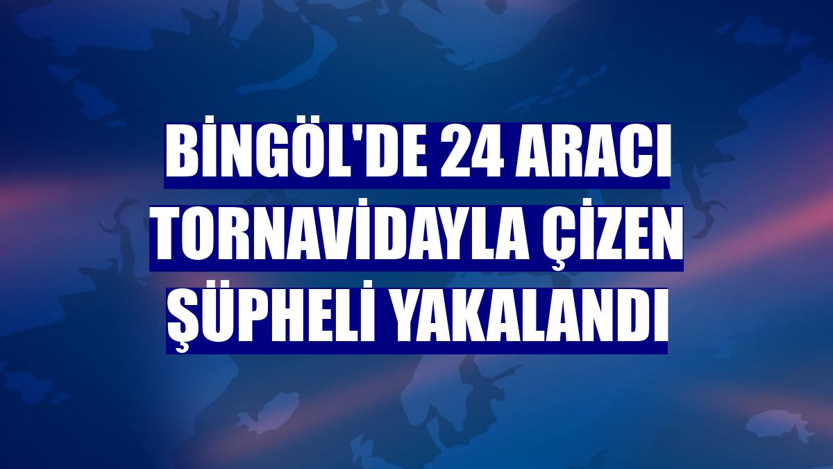 Bingöl'de 24 aracı tornavidayla çizen şüpheli yakalandı
