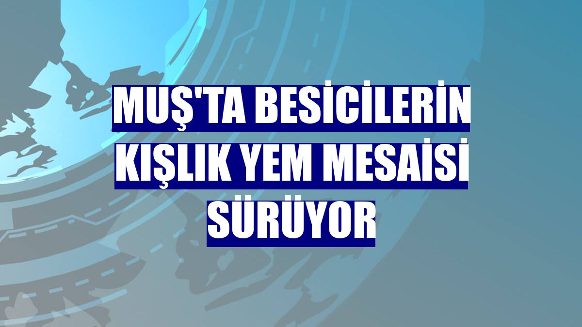 Muş'ta besicilerin kışlık yem mesaisi sürüyor