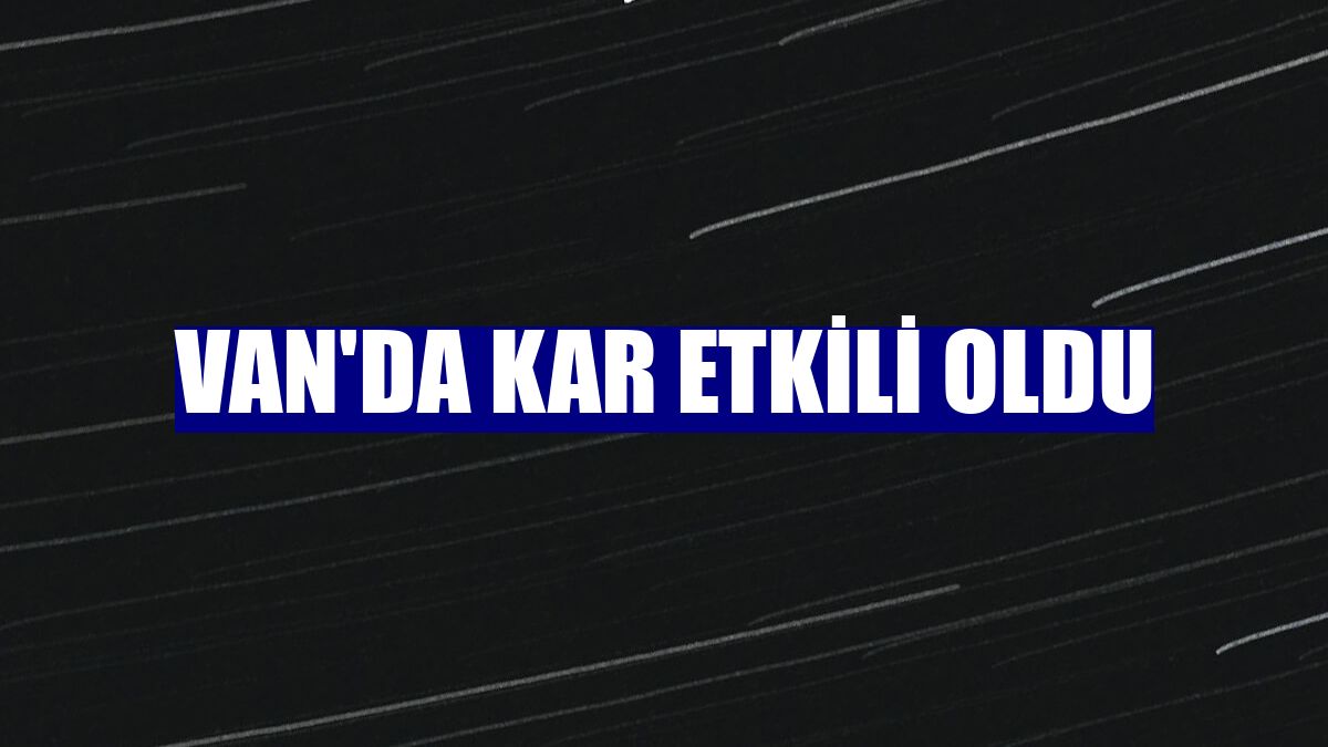 Van'da kar etkili oldu