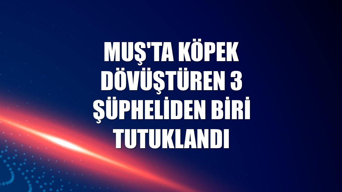 Muş'ta köpek dövüştüren 3 şüpheliden biri tutuklandı