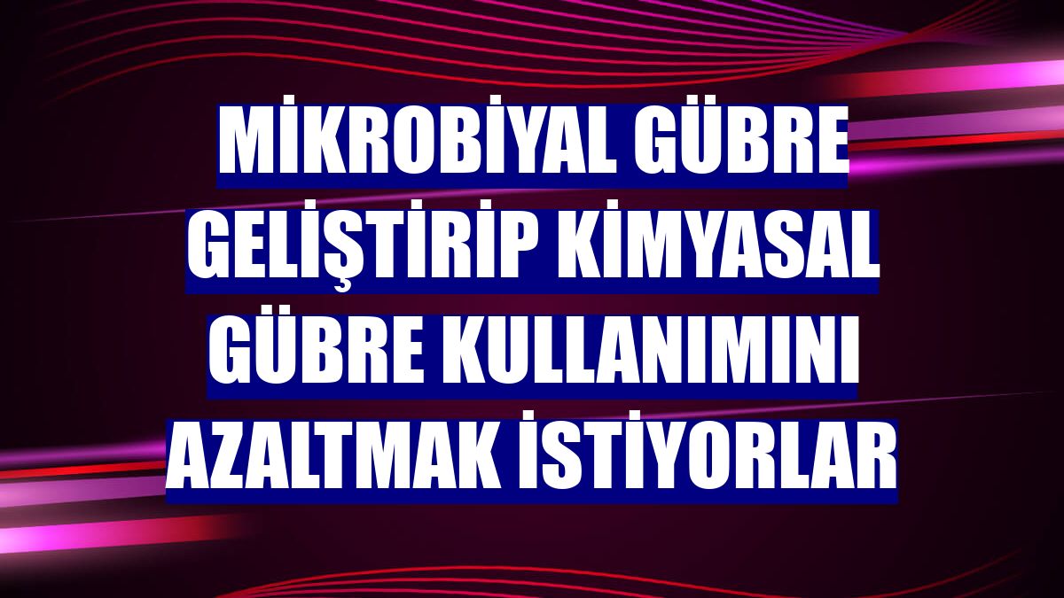 Mikrobiyal gübre geliştirip kimyasal gübre kullanımını azaltmak istiyorlar