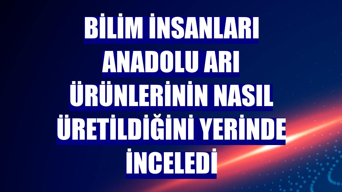 Bilim insanları Anadolu arı ürünlerinin nasıl üretildiğini yerinde inceledi
