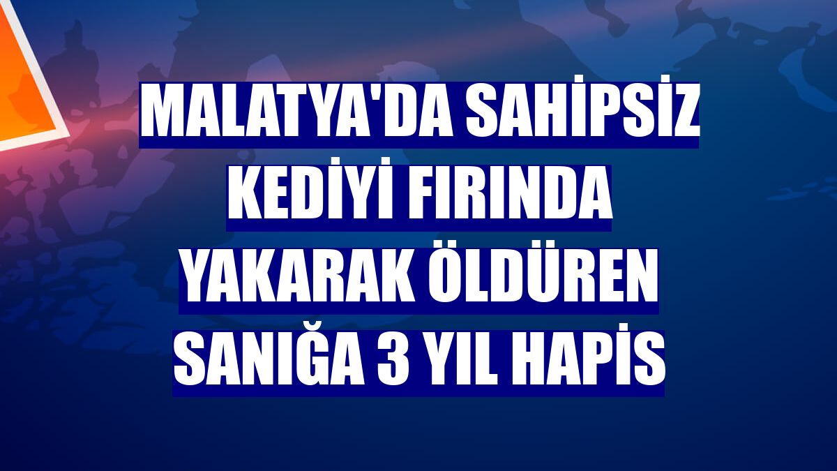 Malatya'da sahipsiz kediyi fırında yakarak öldüren sanığa 3 yıl hapis