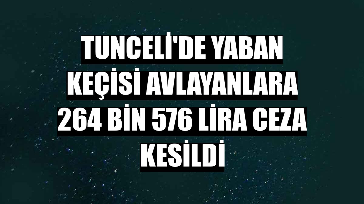 Tunceli'de yaban keçisi avlayanlara 264 bin 576 lira ceza kesildi