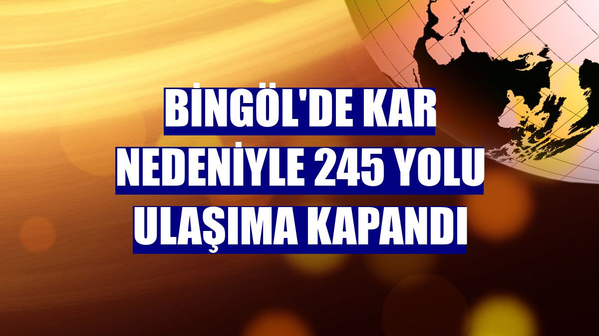 Bingöl'de kar nedeniyle 245 yolu ulaşıma kapandı