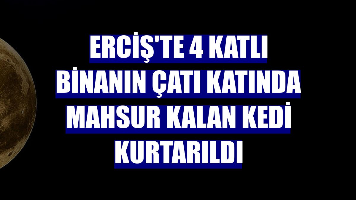 Erciş'te 4 katlı binanın çatı katında mahsur kalan kedi kurtarıldı