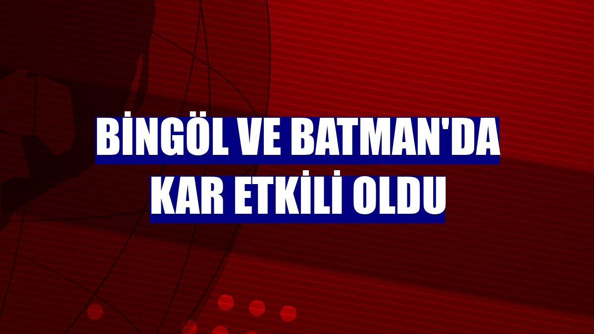 Bingöl ve Batman'da kar etkili oldu