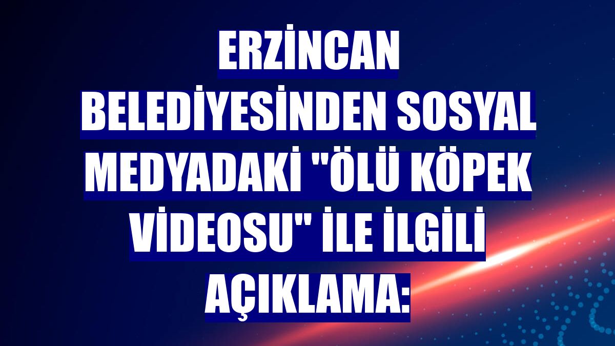 Erzincan Belediyesinden sosyal medyadaki "ölü köpek videosu" ile ilgili açıklama: