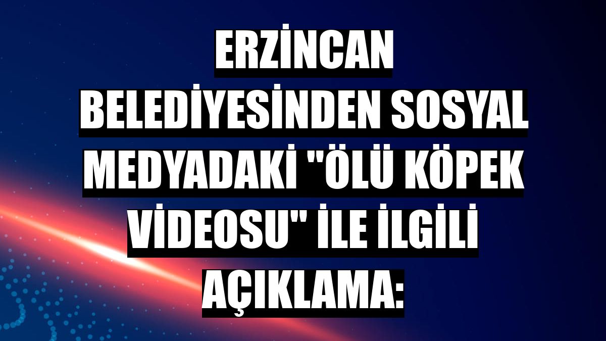 Erzincan Belediyesinden sosyal medyadaki 'ölü köpek videosu' ile ilgili açıklama: