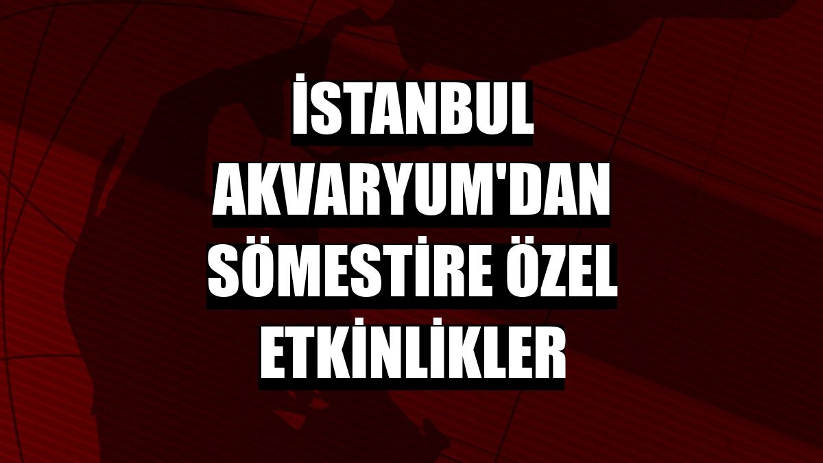 İstanbul Akvaryum'dan sömestire özel etkinlikler