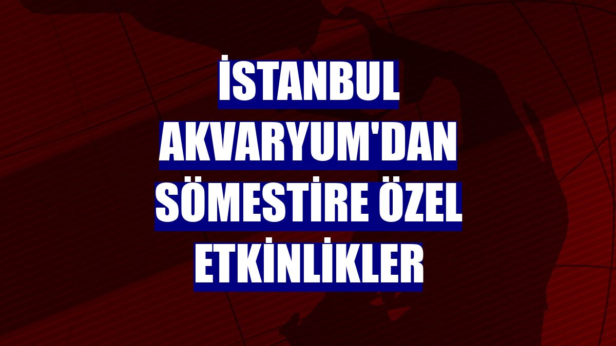 İstanbul Akvaryum'dan sömestire özel etkinlikler