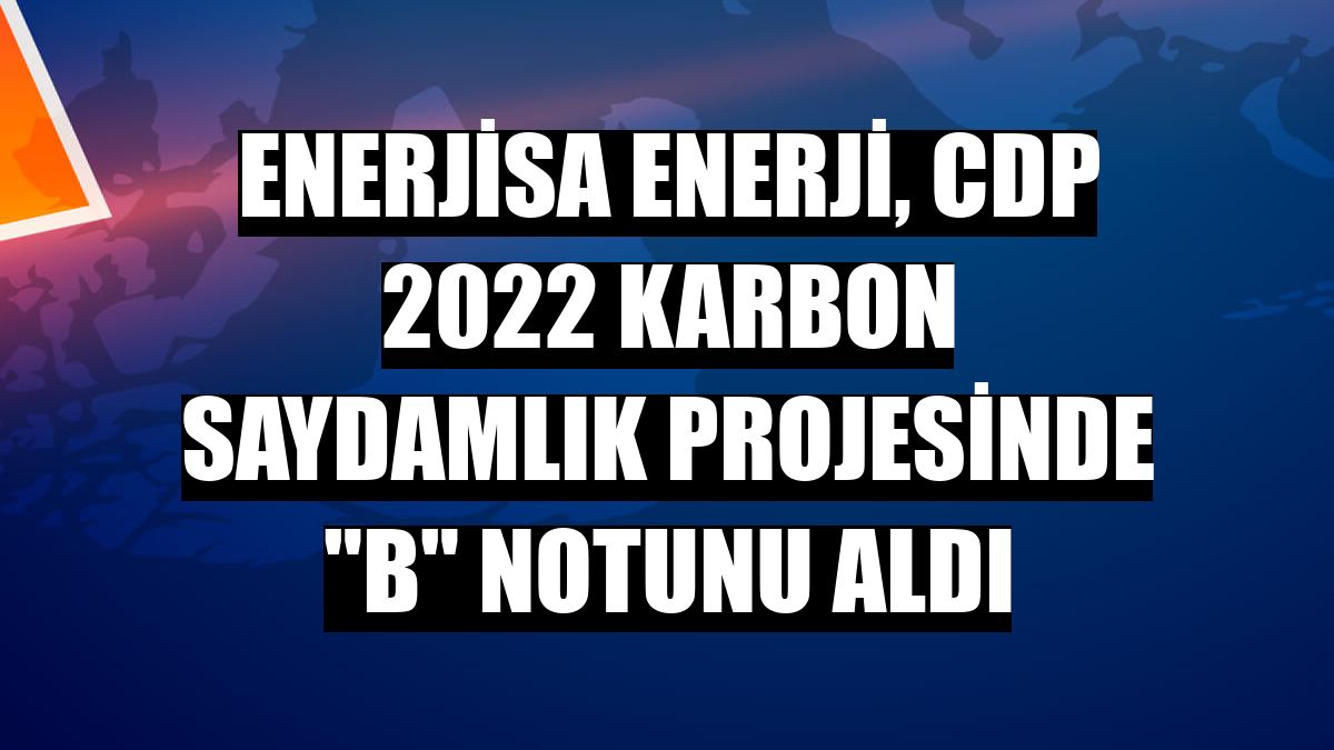 Enerjisa Enerji, CDP 2022 Karbon Saydamlık Projesinde 'B' notunu aldı