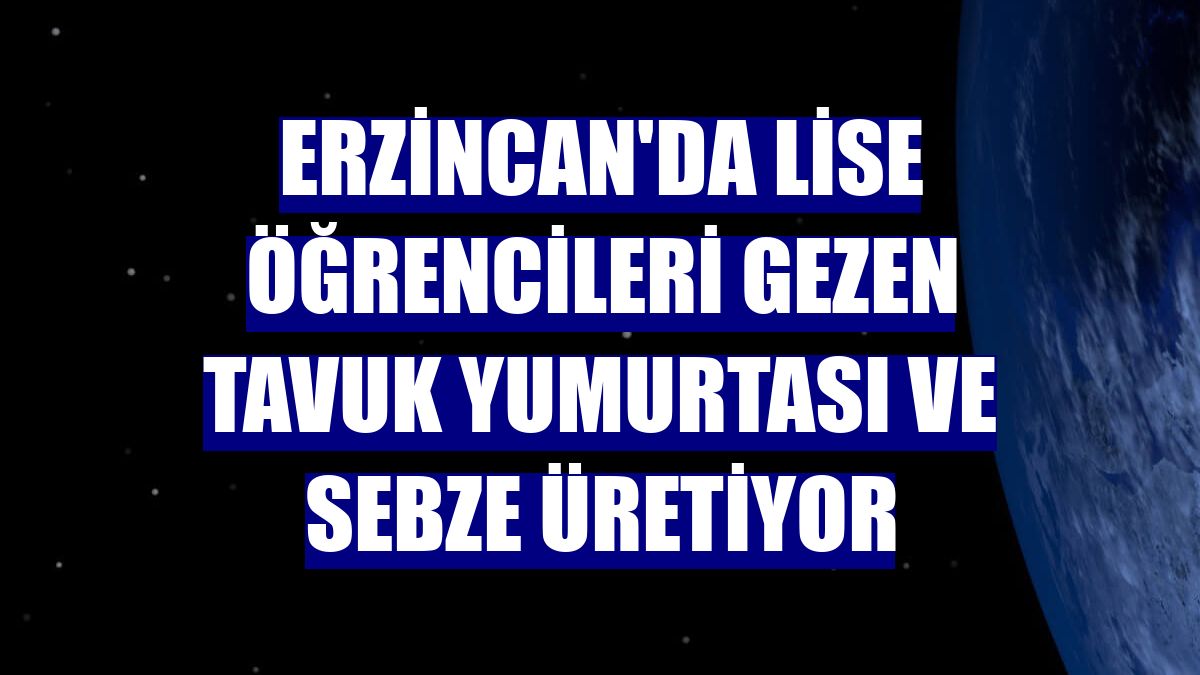 Erzincan'da lise öğrencileri gezen tavuk yumurtası ve sebze üretiyor