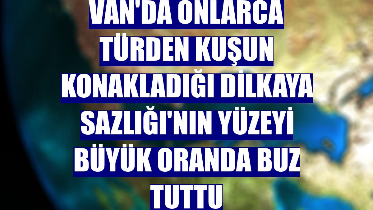 Van'da onlarca türden kuşun konakladığı Dilkaya Sazlığı'nın yüzeyi büyük oranda buz tuttu