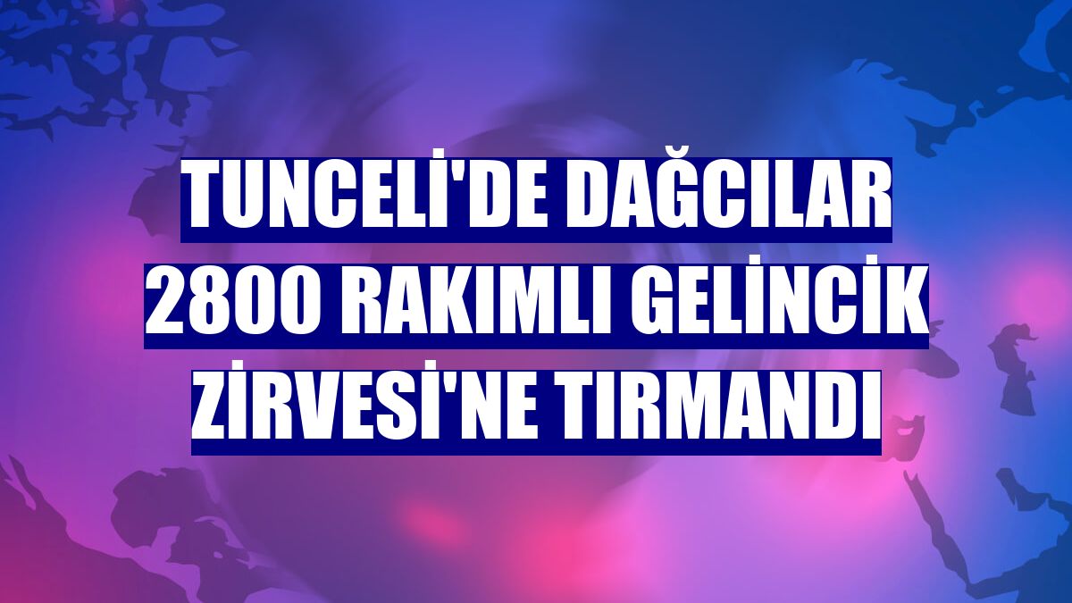 Tunceli'de dağcılar 2800 rakımlı Gelincik Zirvesi'ne tırmandı
