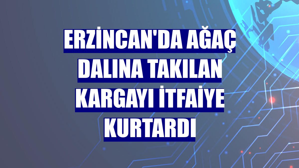 Erzincan'da ağaç dalına takılan kargayı itfaiye kurtardı