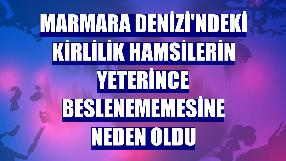 Marmara Denizi'ndeki kirlilik hamsilerin yeterince beslenememesine neden oldu
