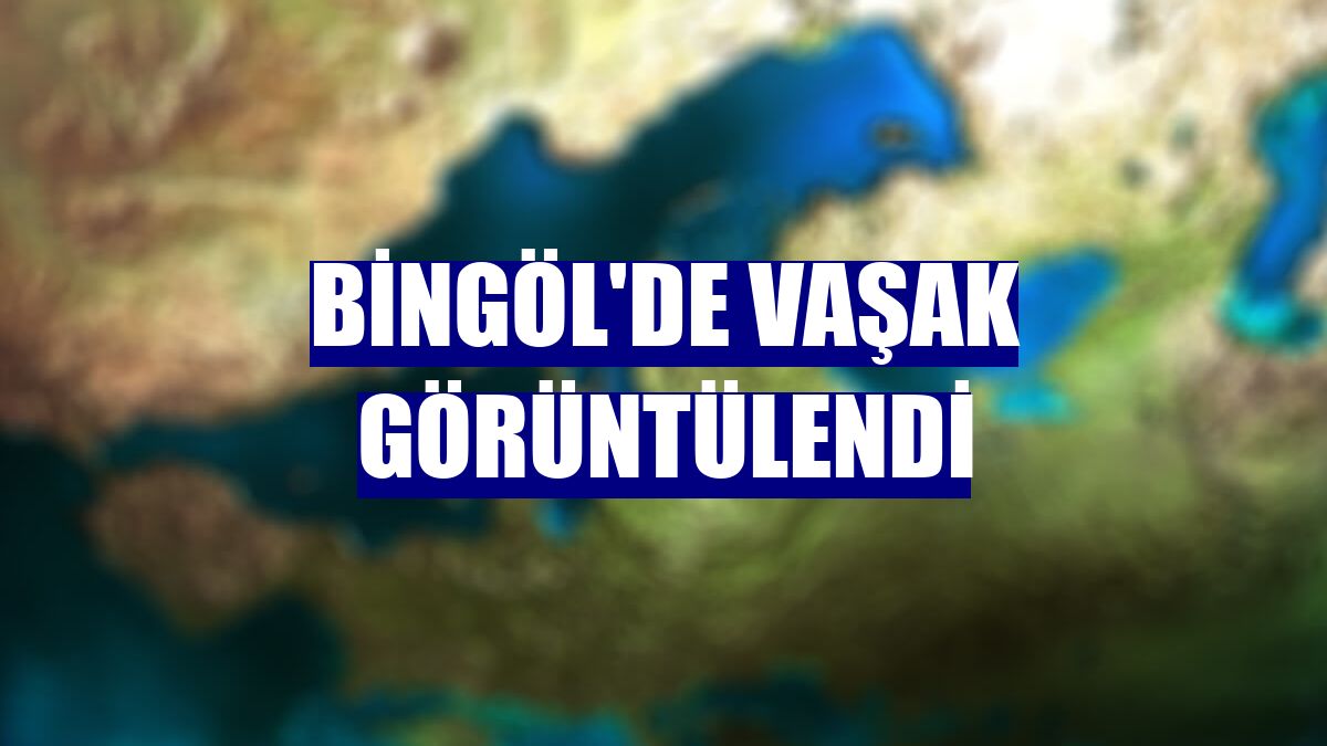 Bingöl'de vaşak görüntülendi