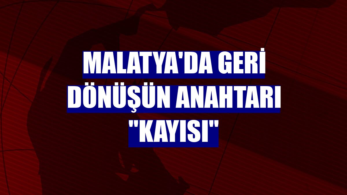 Malatya'da geri dönüşün anahtarı "kayısı"