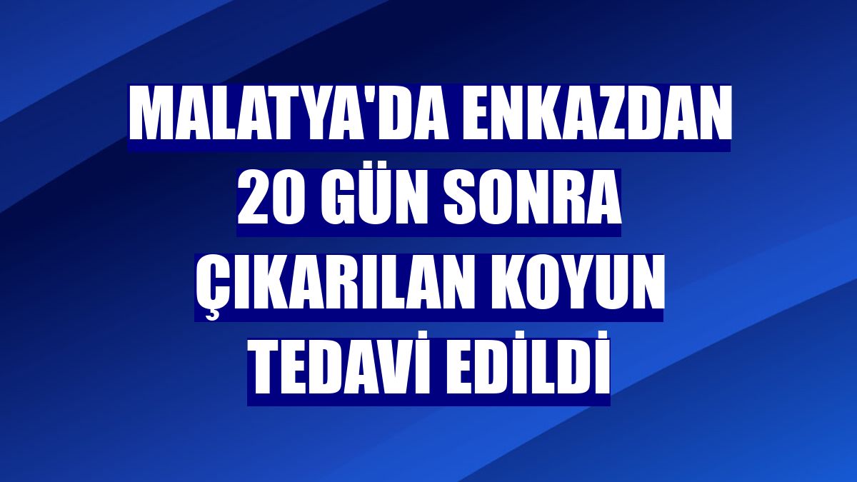 Malatya'da enkazdan 20 gün sonra çıkarılan koyun tedavi edildi