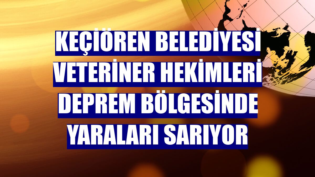 Keçiören Belediyesi veteriner hekimleri deprem bölgesinde yaraları sarıyor