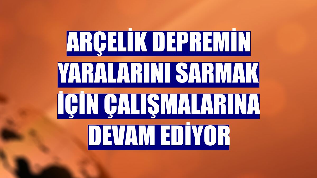 Arçelik depremin yaralarını sarmak için çalışmalarına devam ediyor