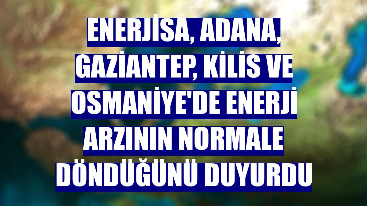 Enerjisa, Adana, Gaziantep, Kilis ve Osmaniye'de enerji arzının normale döndüğünü duyurdu