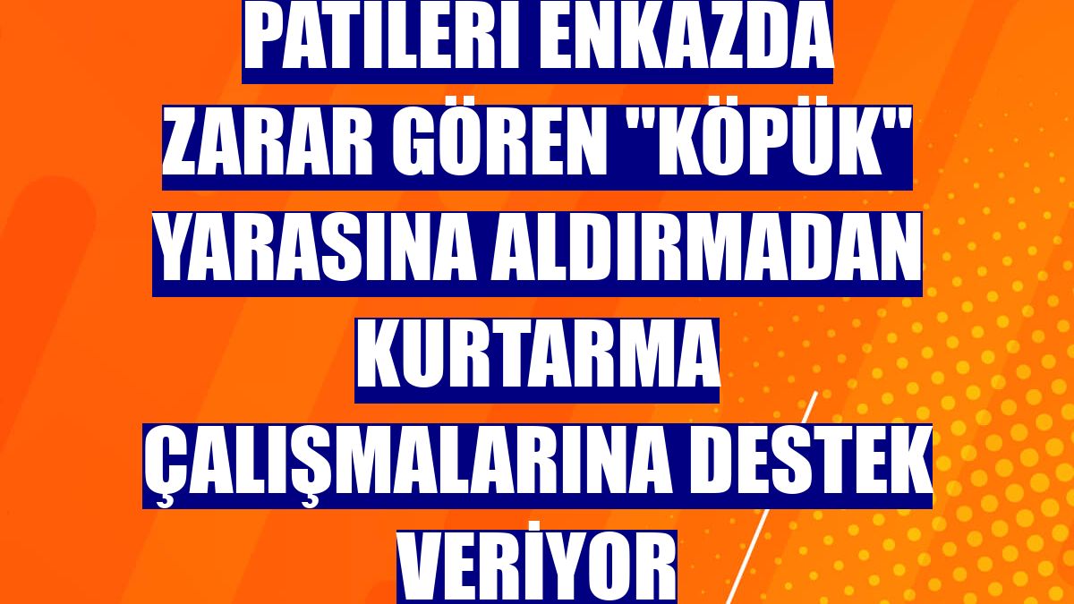 Patileri enkazda zarar gören "Köpük" yarasına aldırmadan kurtarma çalışmalarına destek veriyor