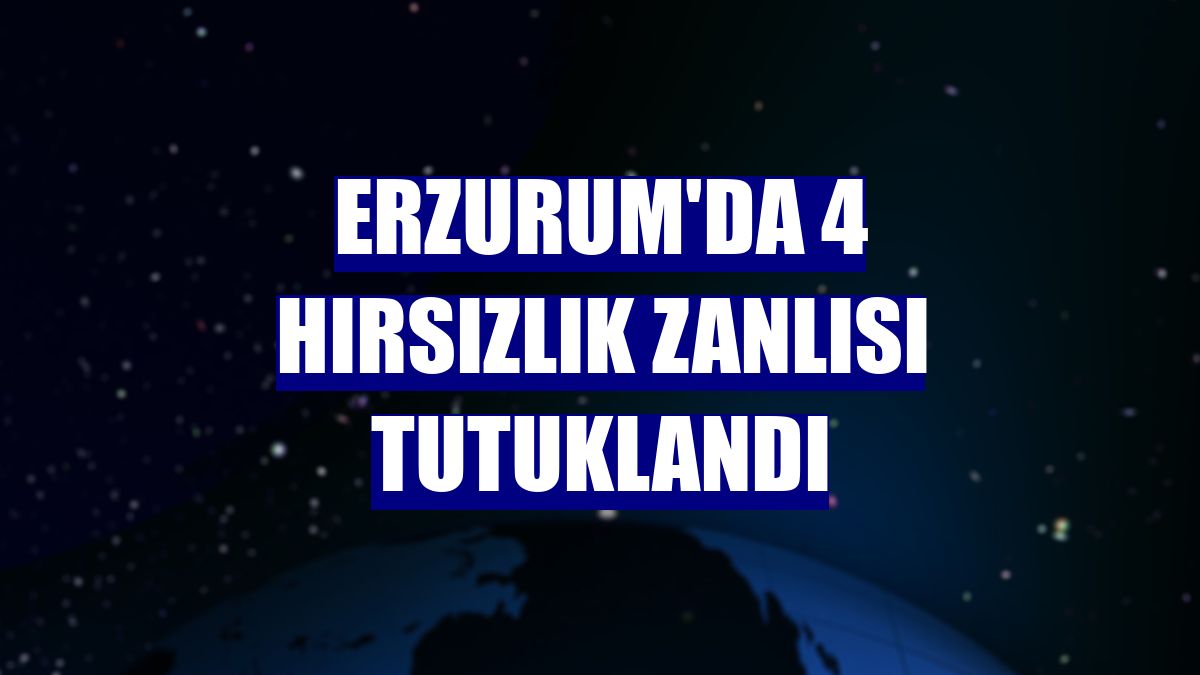 Erzurum'da 4 hırsızlık zanlısı tutuklandı