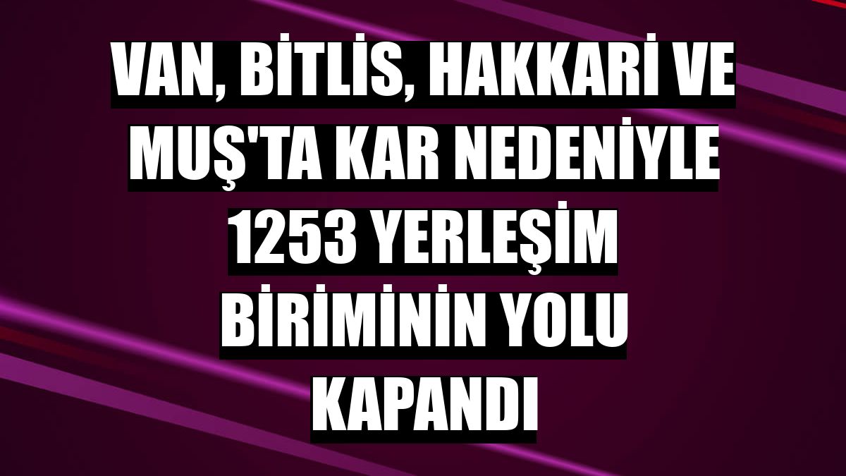 Van, Bitlis, Hakkari ve Muş'ta kar nedeniyle 1253 yerleşim biriminin yolu kapandı