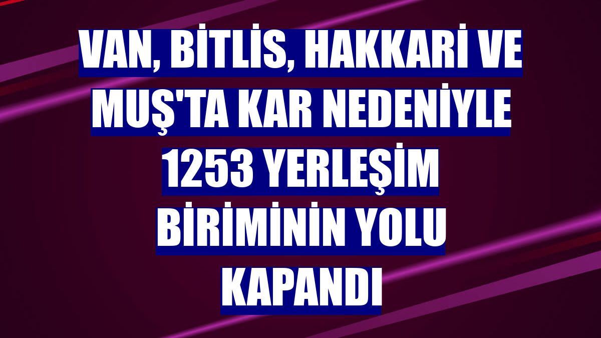 Van, Bitlis, Hakkari ve Muş'ta kar nedeniyle 1253 yerleşim biriminin yolu kapandı