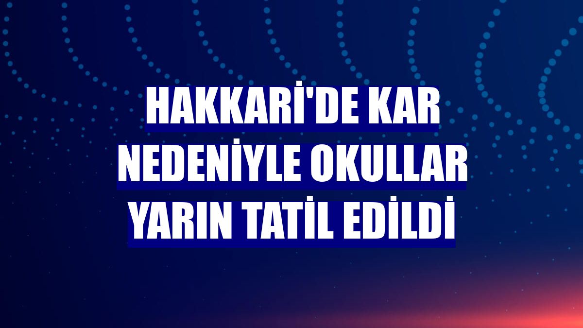 Hakkari'de kar nedeniyle okullar yarın tatil edildi
