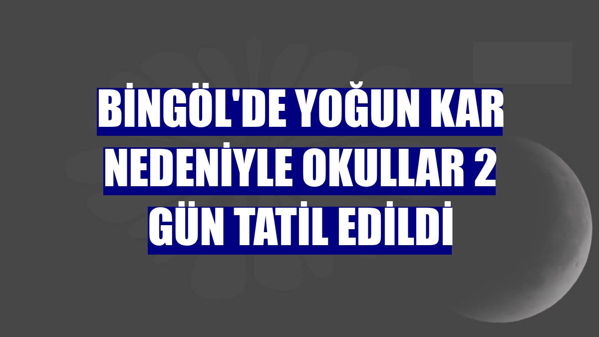Bingöl'de yoğun kar nedeniyle okullar 2 gün tatil edildi