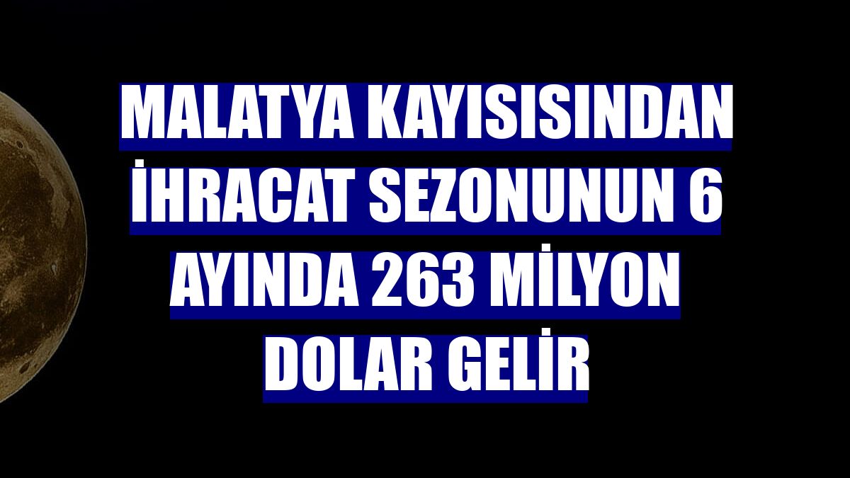 Malatya kayısısından ihracat sezonunun 6 ayında 263 milyon dolar gelir