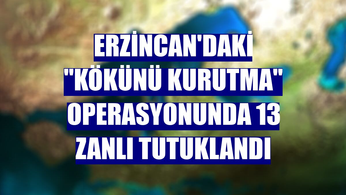 Erzincan'daki "Kökünü Kurutma" operasyonunda 13 zanlı tutuklandı