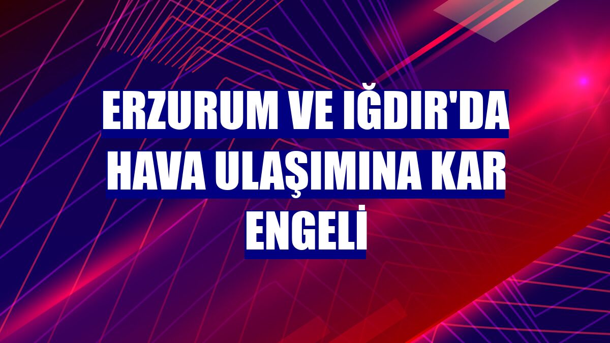 Erzurum ve Iğdır'da hava ulaşımına kar engeli