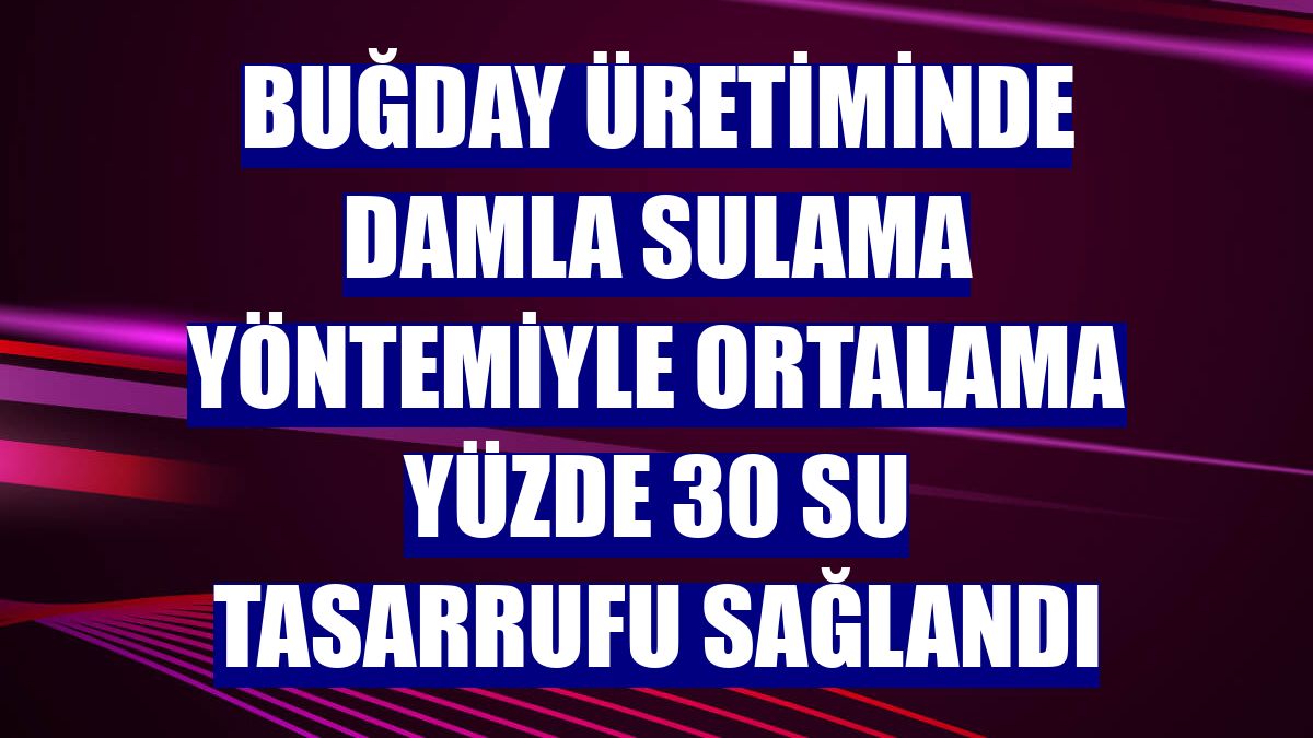 Buğday üretiminde damla sulama yöntemiyle ortalama yüzde 30 su tasarrufu sağlandı