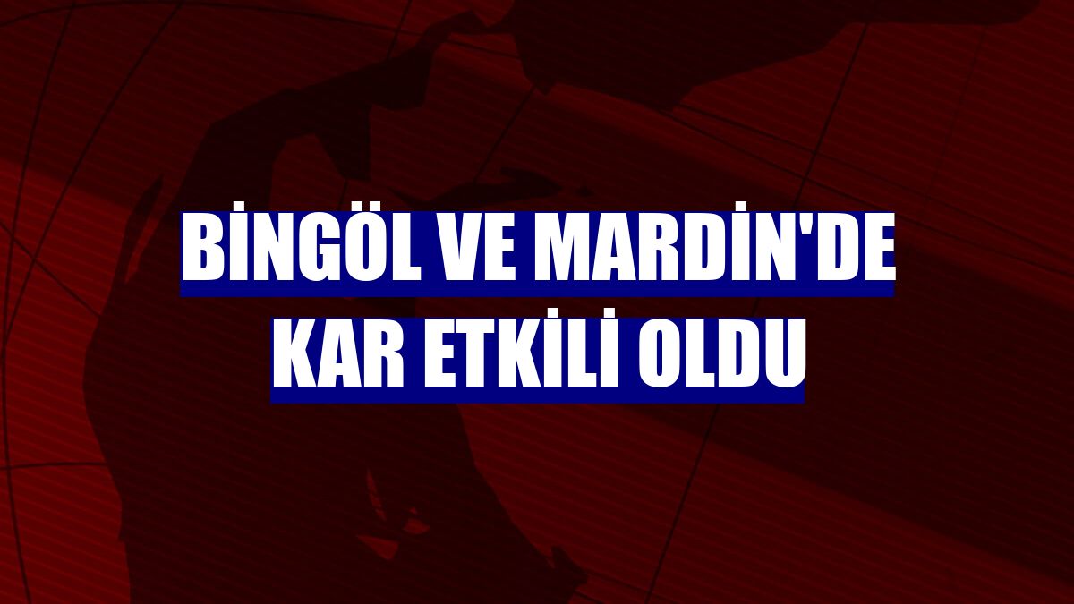Bingöl ve Mardin'de kar etkili oldu