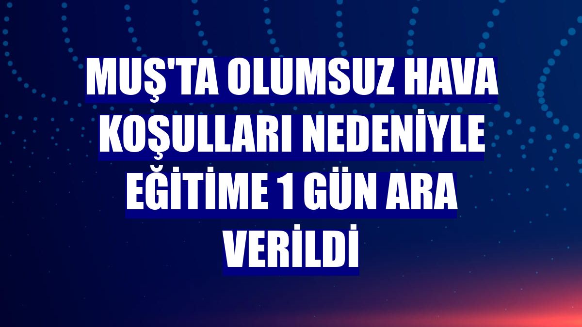 Muş'ta olumsuz hava koşulları nedeniyle eğitime 1 gün ara verildi