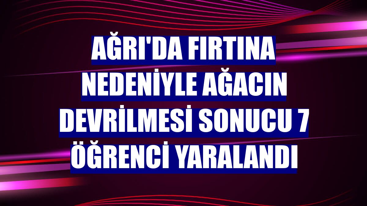 Ağrı'da fırtına nedeniyle ağacın devrilmesi sonucu 7 öğrenci yaralandı