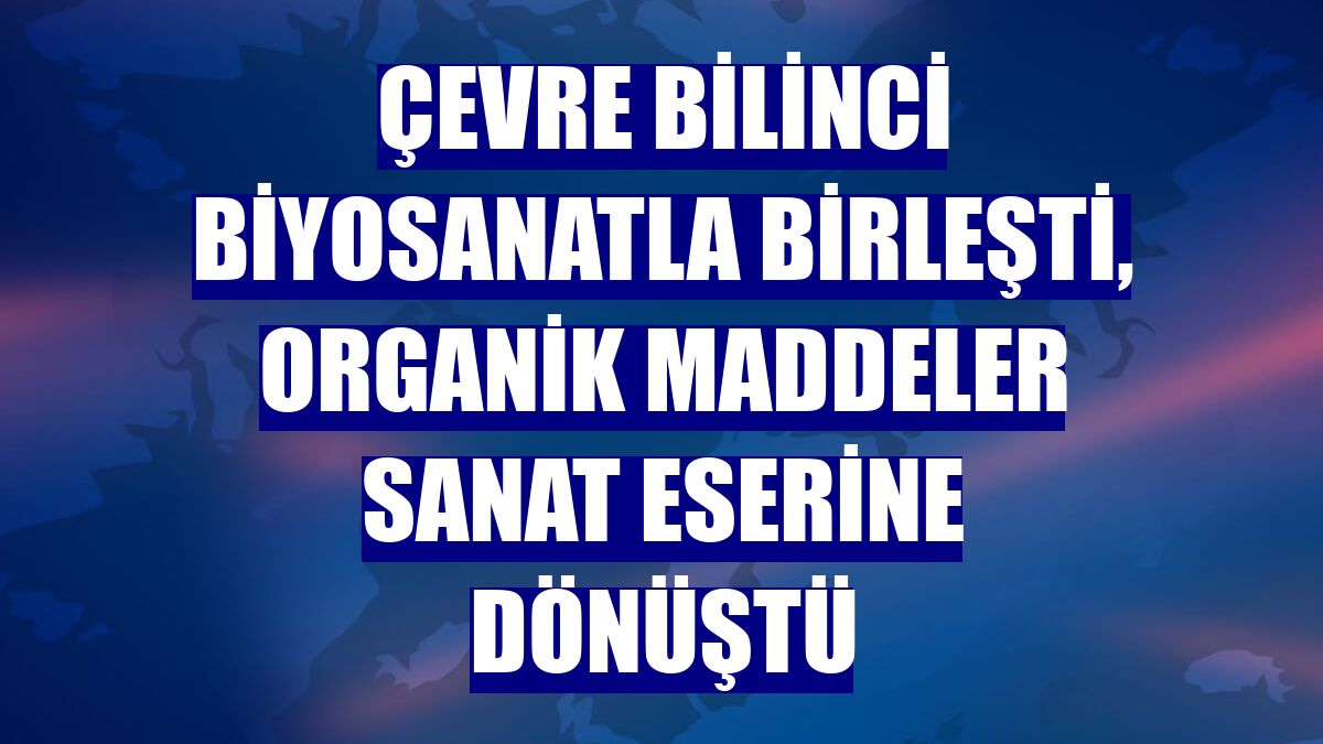 Çevre bilinci biyosanatla birleşti, organik maddeler sanat eserine dönüştü